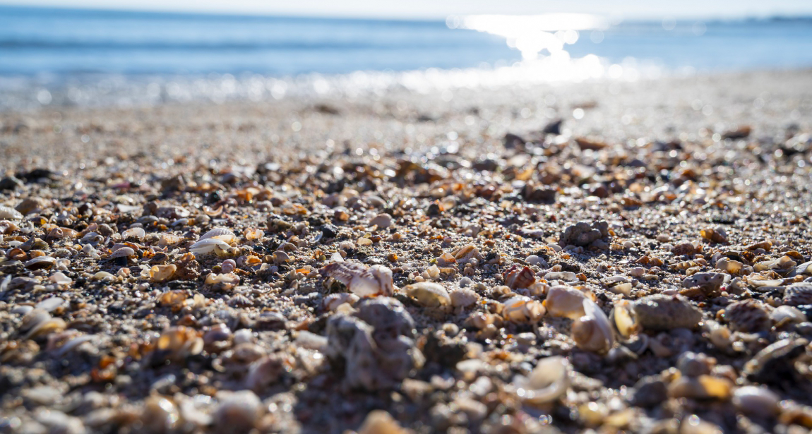 PUBBLICATO IL BANDO “INFRASTRUTTURE PUBBLICHE PER LA FRUIZIONE DI AREE MARINE E COSTIERE” - 6° AVVISO