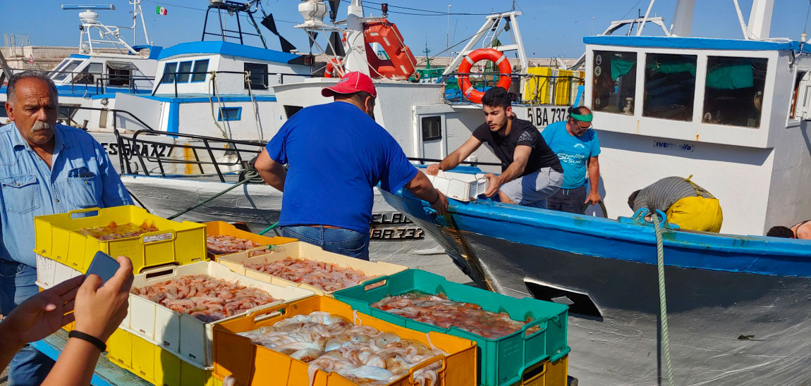 BANDO MERCATI LOCALI DI PRODOTTI DELLA PESCA: PUBBLICATE LE GRADUATORIE