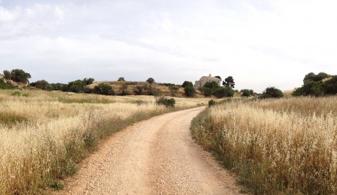 BANDO INFRASTRUTTURE RURALI E NATURALI: PUBBLICATE LE GRADUATORIE