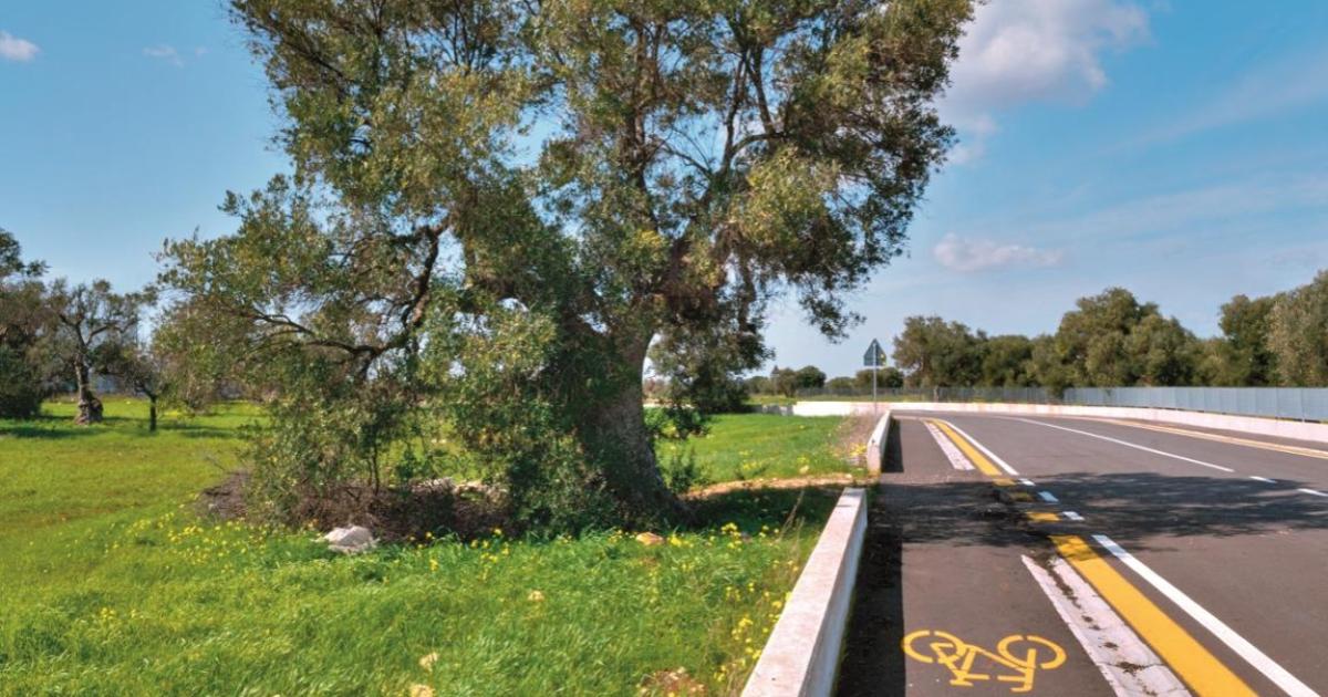 AZIONE 5 - Investimenti in Infrastrutture per le Aree Rurali