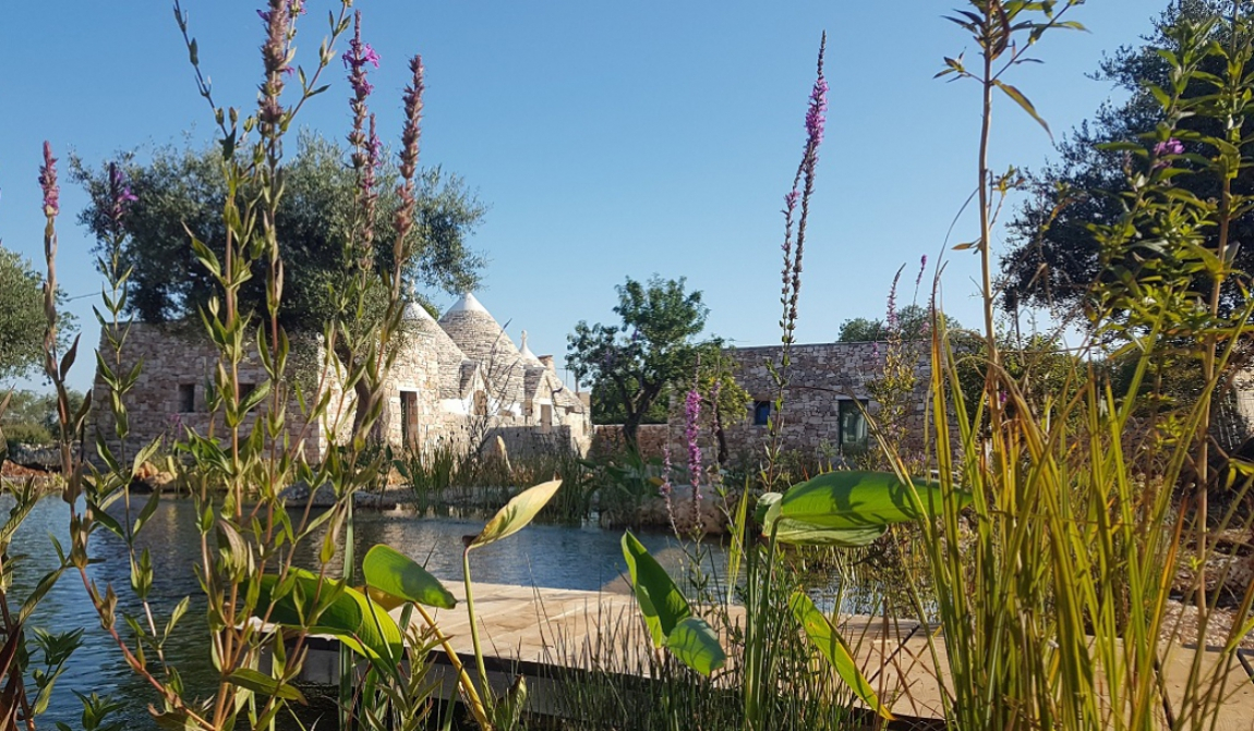 VEDAGURU, AYURVEDA E YOGA