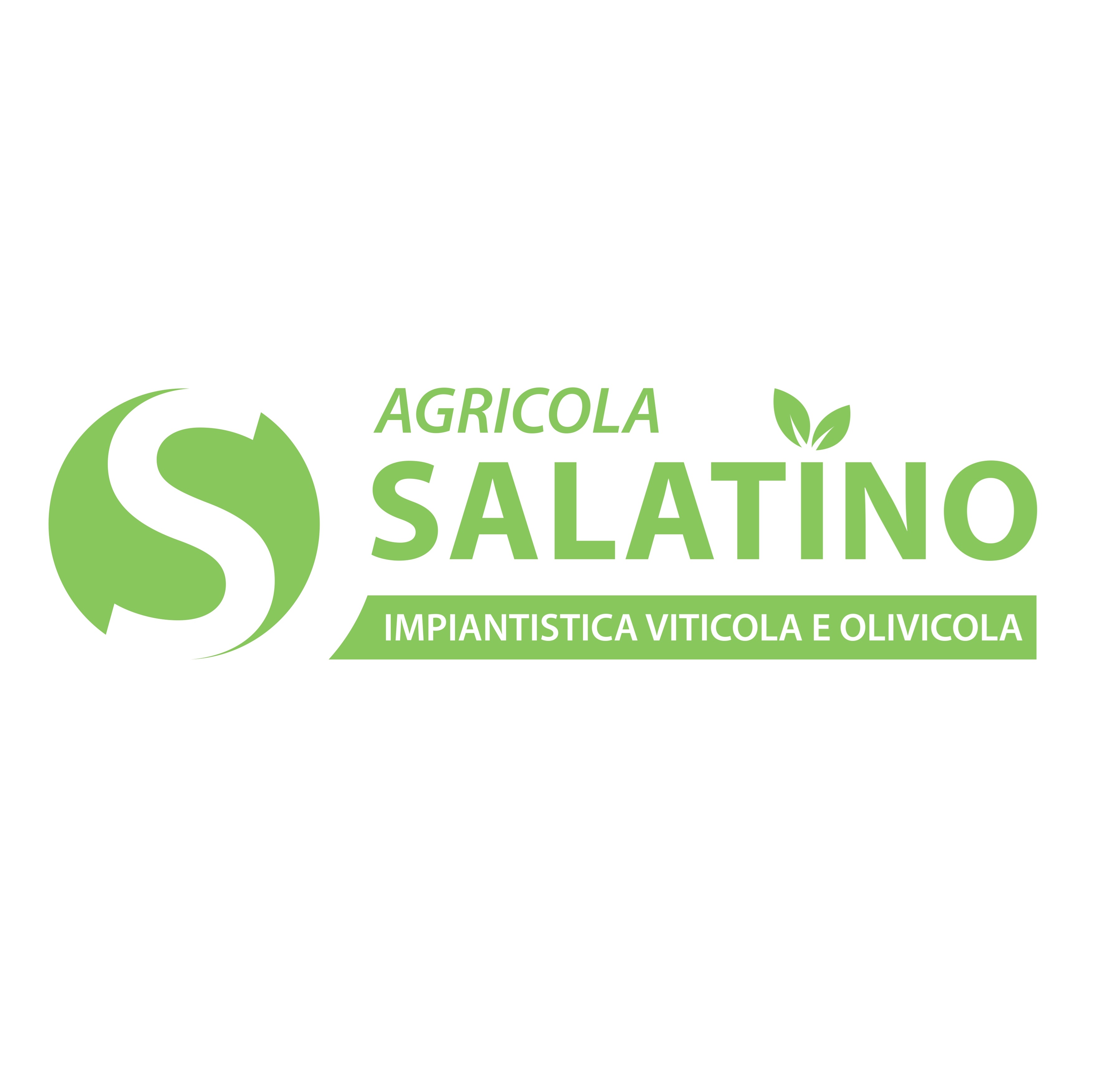 Agricola Salatino impiantistica page 0001