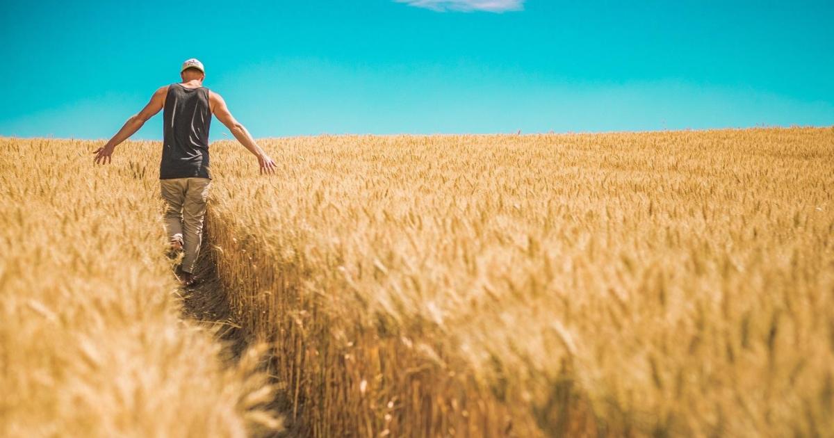 TUTELA E LA VALORIZZAZIONE DEL GRANO BUONO DI RUTIGLIANO