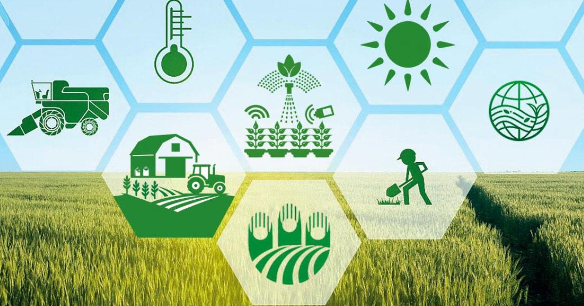 ITC FOOD FORMAZIONE E COMPETENZE NEL SETTORE AGROALIMENTARE