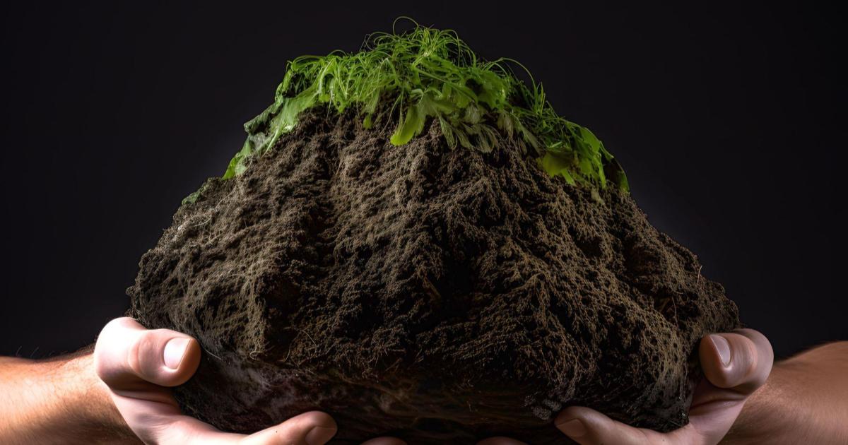RESIDUI AGRICOLI E INNOVAZIONE: IL PERCORSO DI ASCOLTO ENTRA NELLA NUOVA FASE